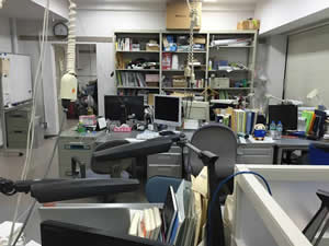Lab